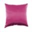 Variation picture for Fucsia